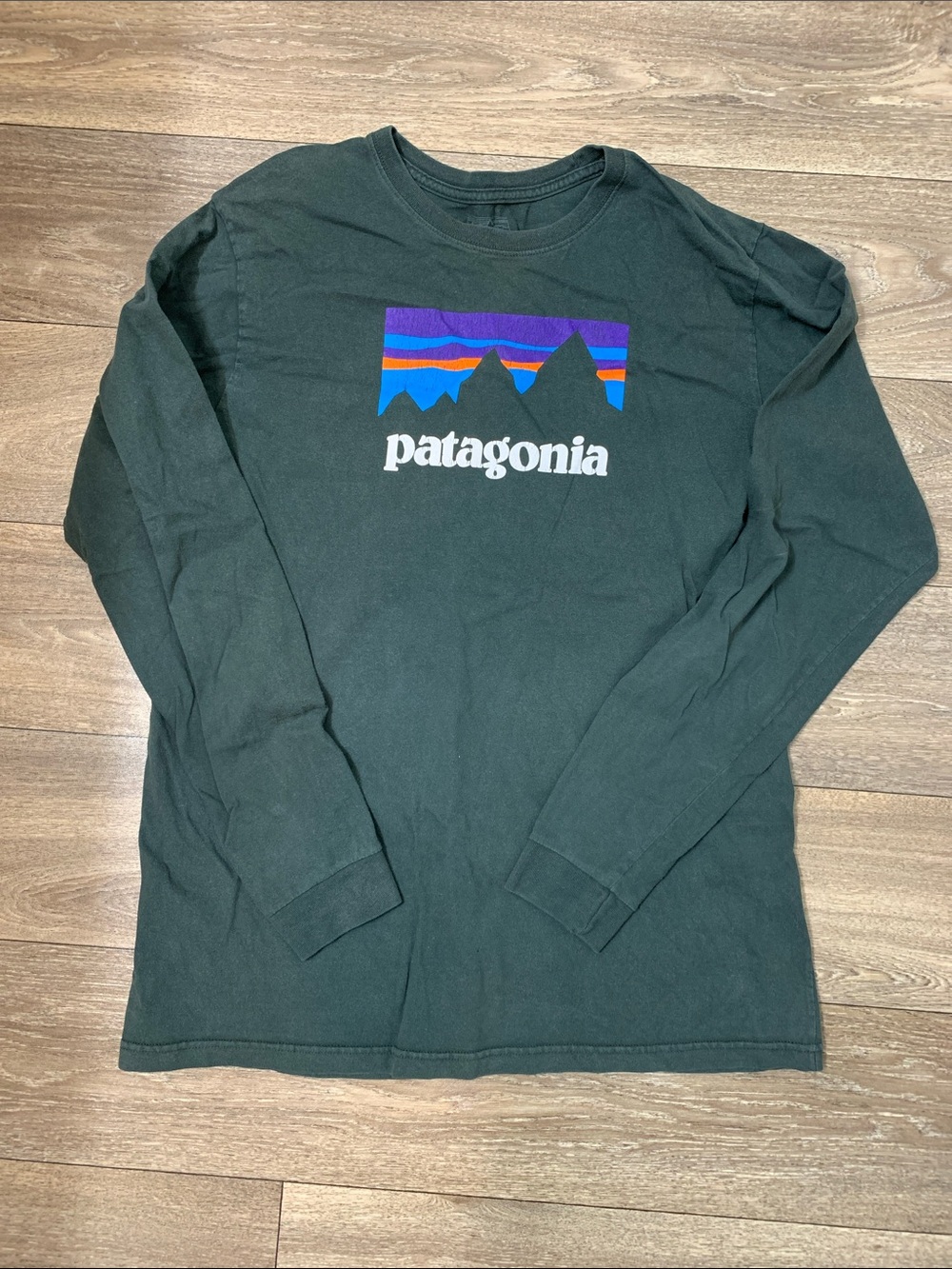 Patagonia Regular Fit Green Long Sleeve Tee